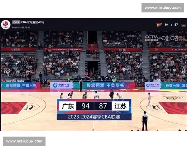 篮球比赛全程高清直播实时解说球星表现战术解析与赛场精彩瞬间尽收眼底