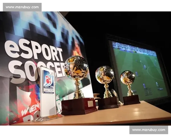 职业体育赛事发展与全球化趋势分析：未来竞技体育的商业化与创新路径 - 副本 (2) - 副本